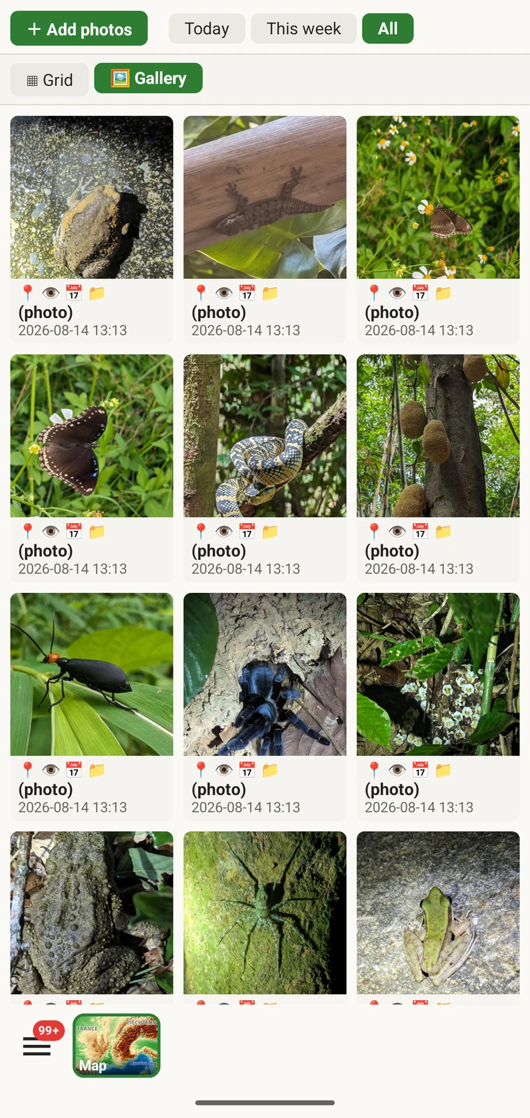Photo gallery